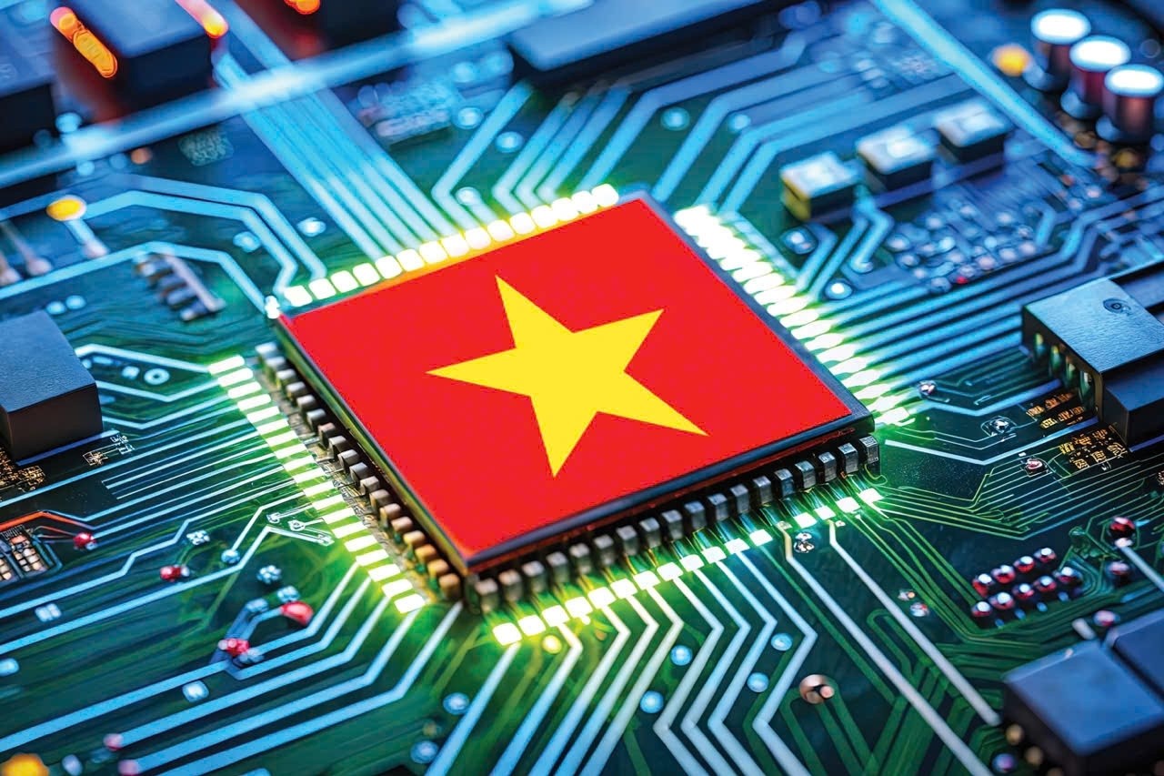 CHIP-65.jpg